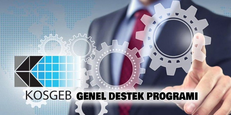 Genel Destek Programı