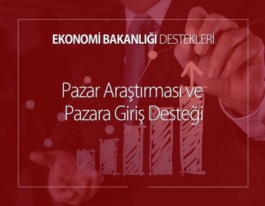 Pazar Araştırması ve Pazara Giriş Desteği