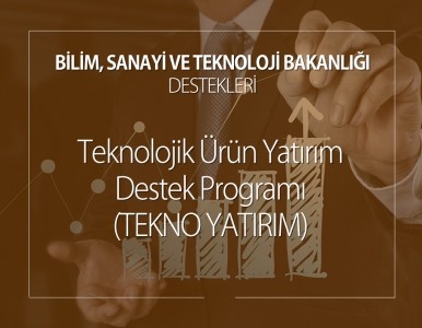 Teknolojik Ürün Yatırım Destek Programı (TEKNO YATIRIM)